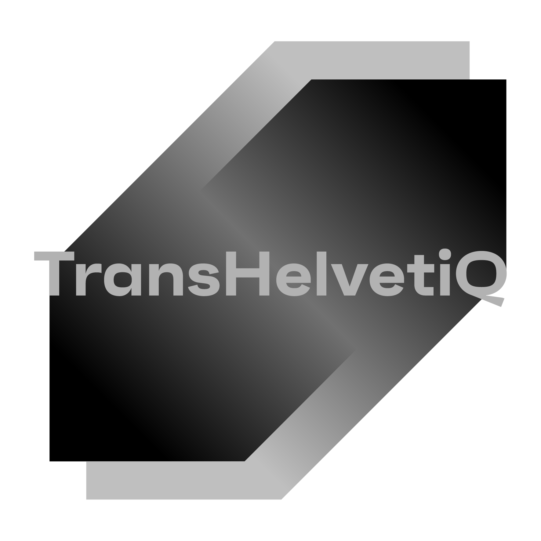 FCMA_TRANSHELVETIQ_B&W_LOGO┬®KANULART_PLEIN