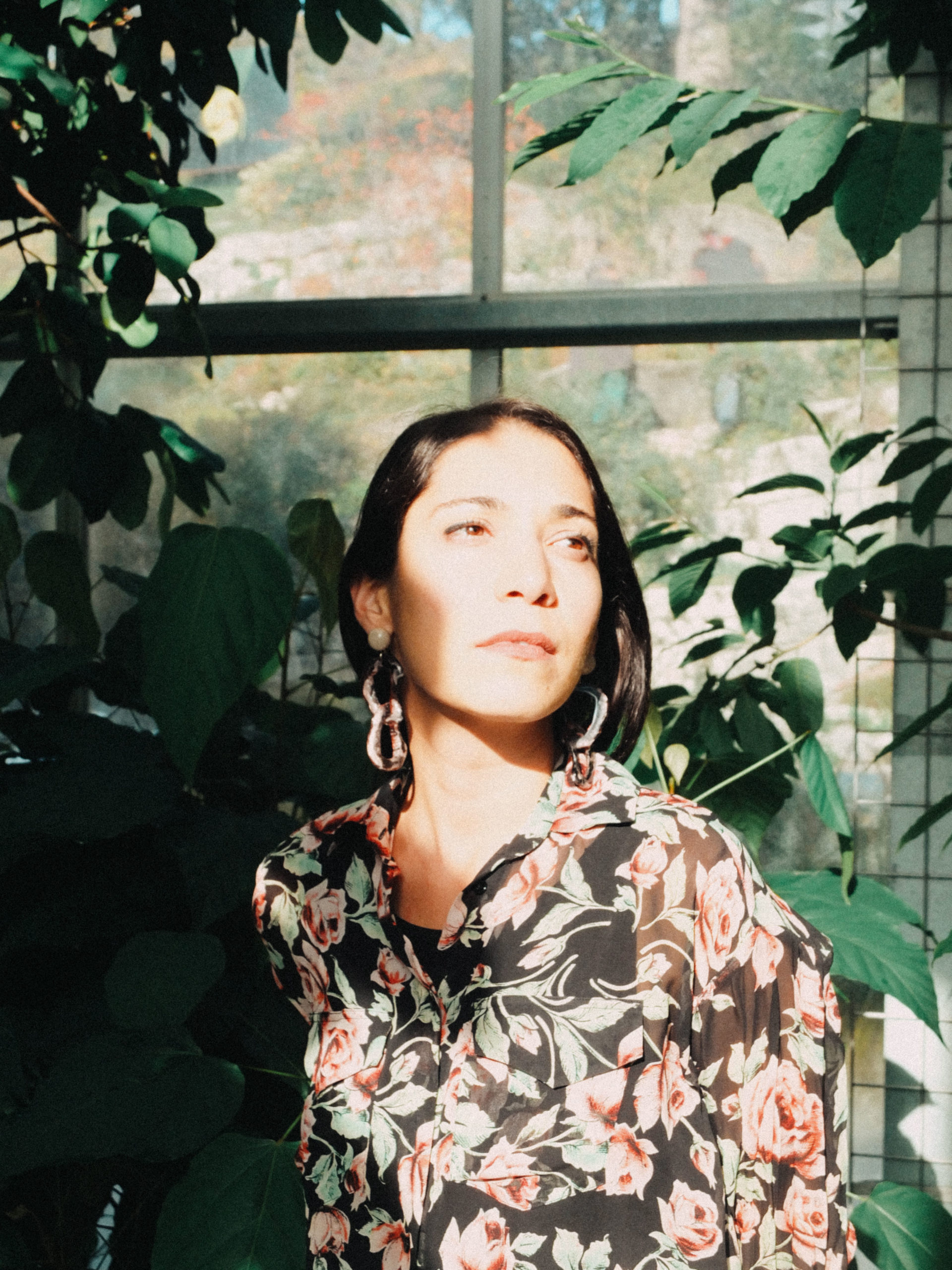 Delia_meshlir_solo01